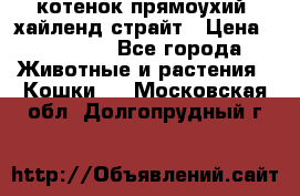 котенок прямоухий  хайленд страйт › Цена ­ 10 000 - Все города Животные и растения » Кошки   . Московская обл.,Долгопрудный г.